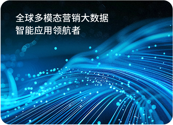 公司介绍